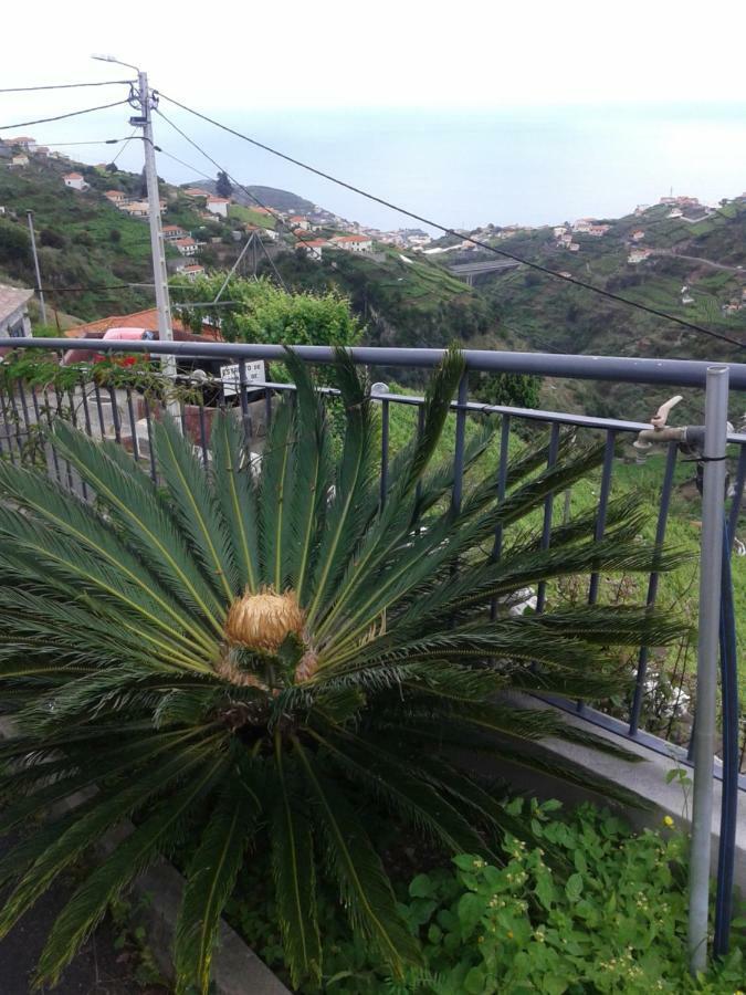 Apartamento Barros Estreito de Câmara de Lobos المظهر الخارجي الصورة